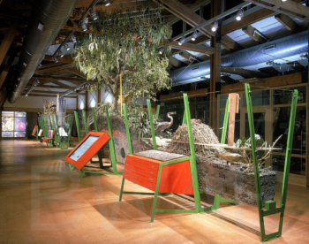 Exhibition Hall, Cusano Environmental Education Center, Philadelphia, 2001. © Barry Halkin / SMP Architects
